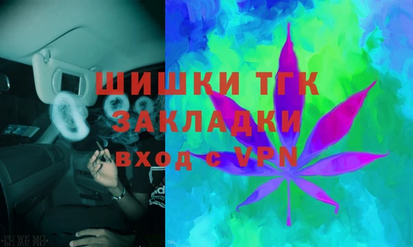 крисы Баксан