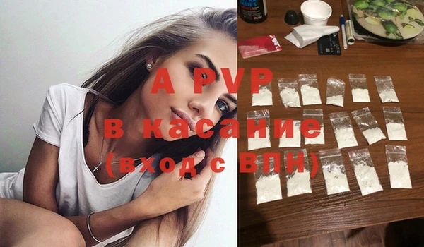 крисы Баксан
