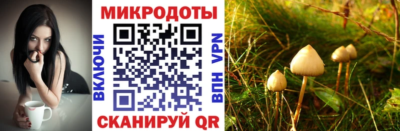 Галлюциногенные грибы прущие грибы Лиски